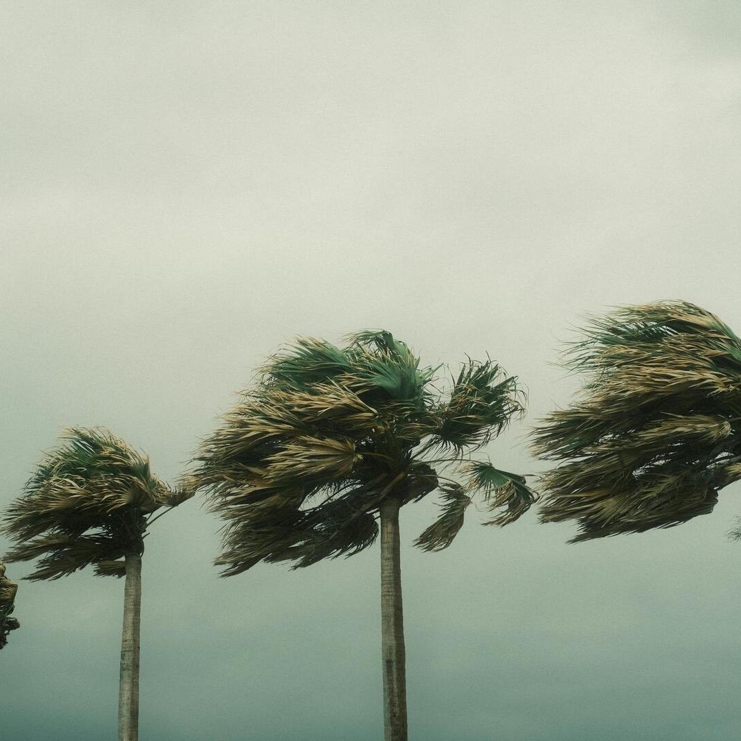 Tormenta Tropical "Ileana" con Dirección a Baja California Sur y Sonora