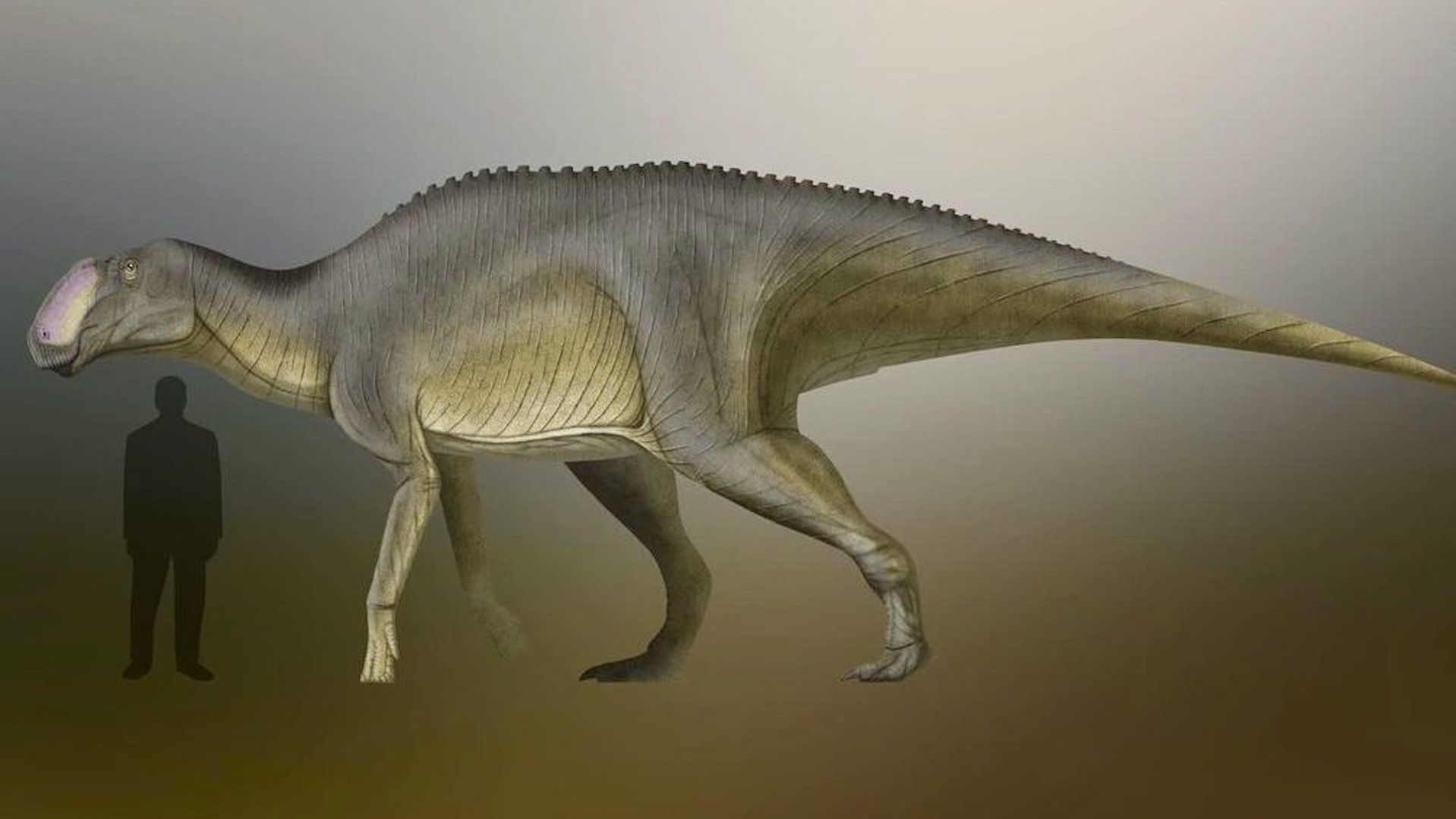 Descubren nuevo dinosaurio mexicano en Coahuila