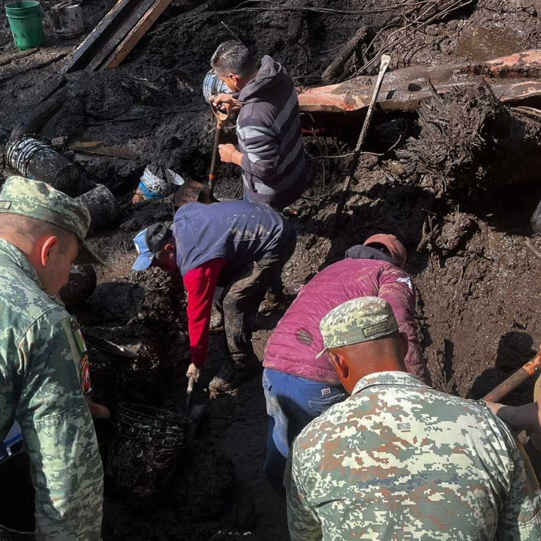 Durante las primeras horas de este sábado hubo una gran movilización de autoridades tras el hallazgo de una cabeza humana