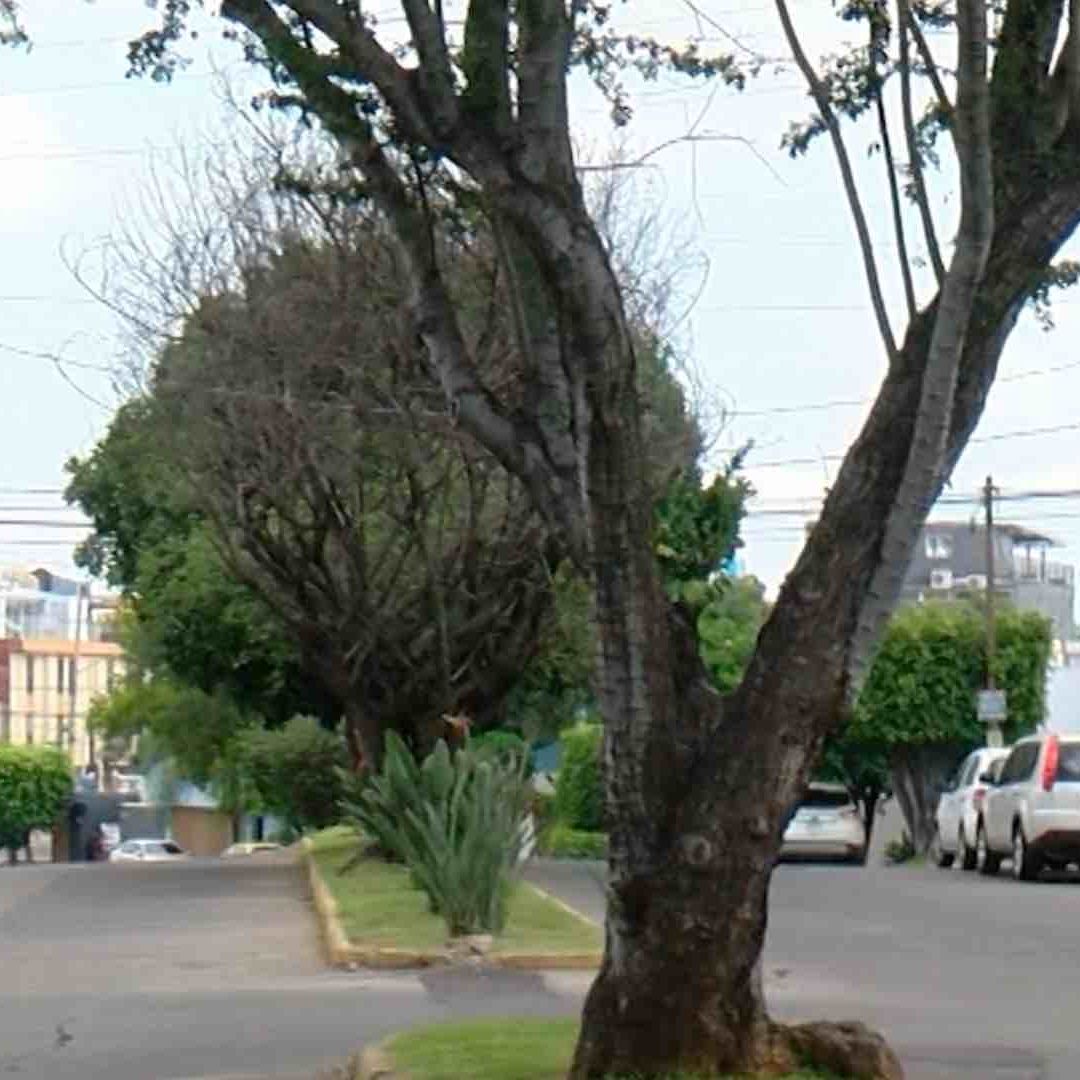 Jonathan Misael ‘N’ operaba en esta zona