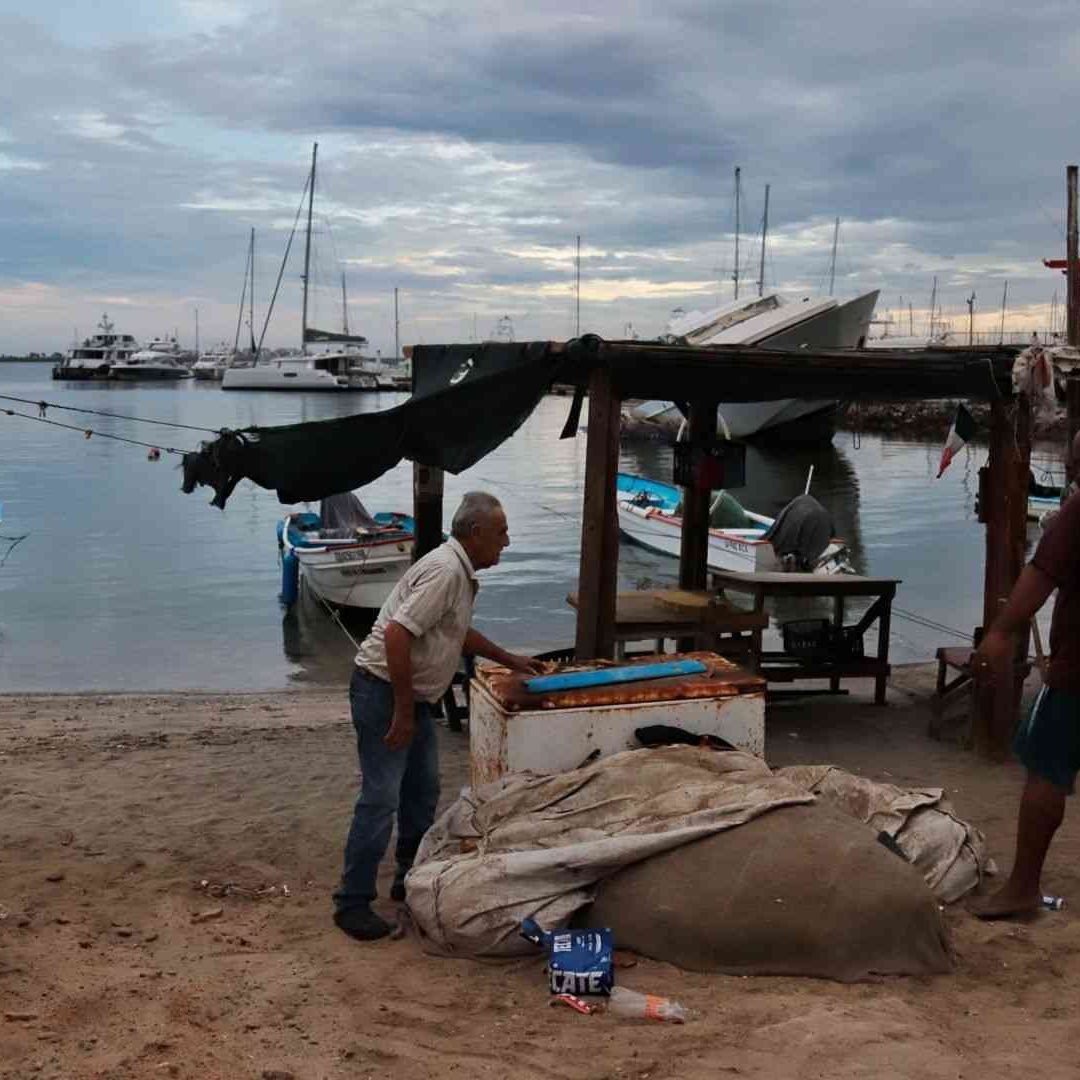 Cuál es el desplazamiento de la tormenta tropical Ileana