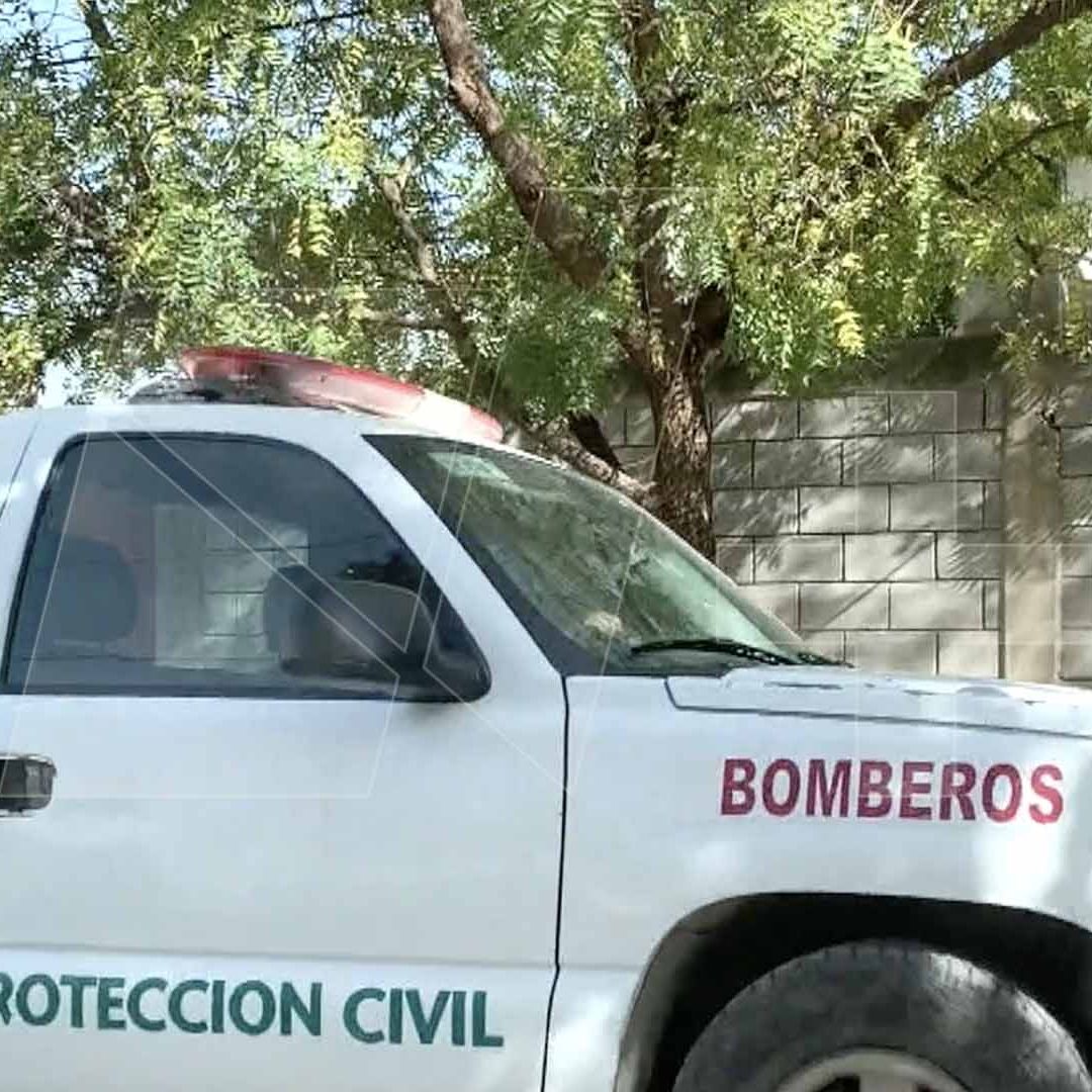 Ataque de Abejas Deja 24 Niños con Picaduras en Telesecundaria de Tamaulipas