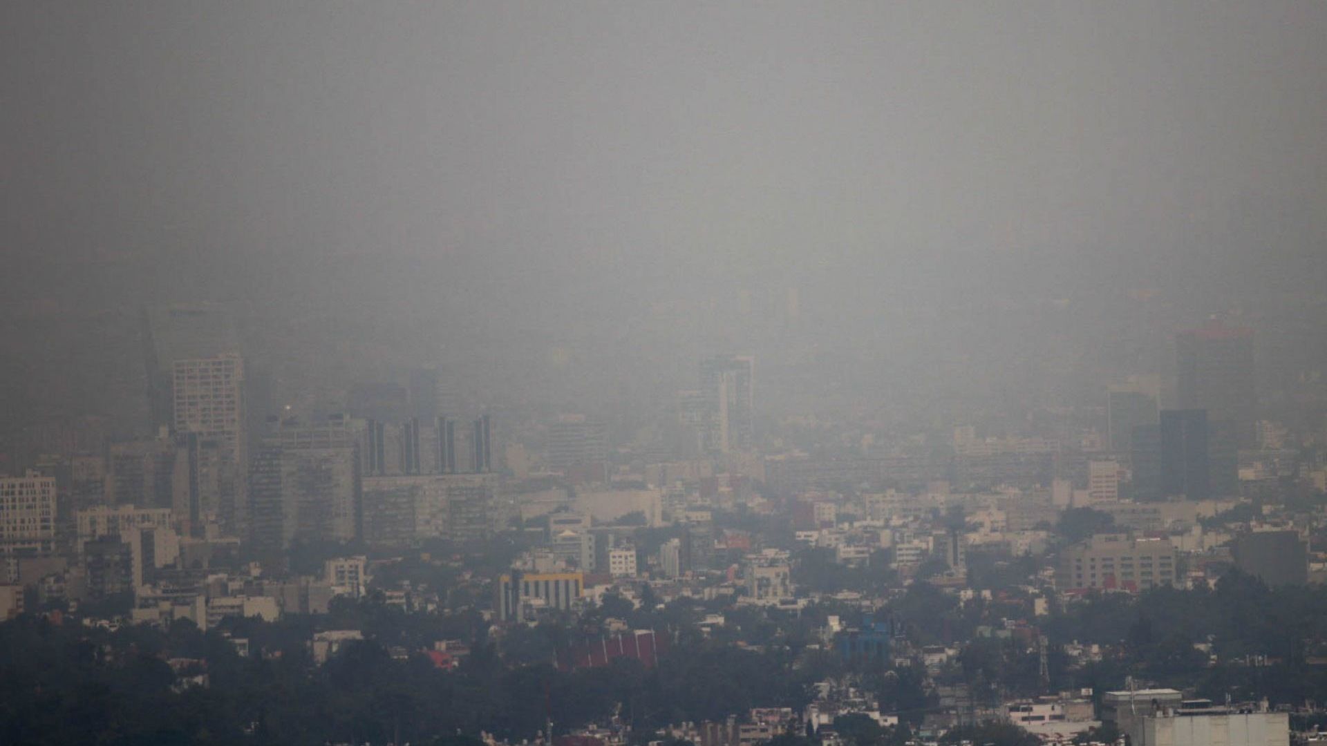 Así es la calidad del aire en CDMX y Edomex hoy