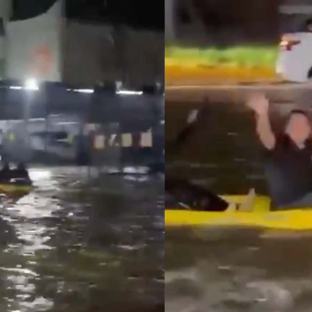 El momento fue captado en video
