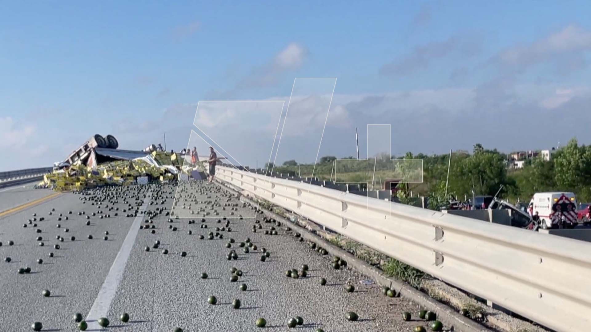 Volcadura de Camión Provoca Rapiña de Aguacates en Reynosa