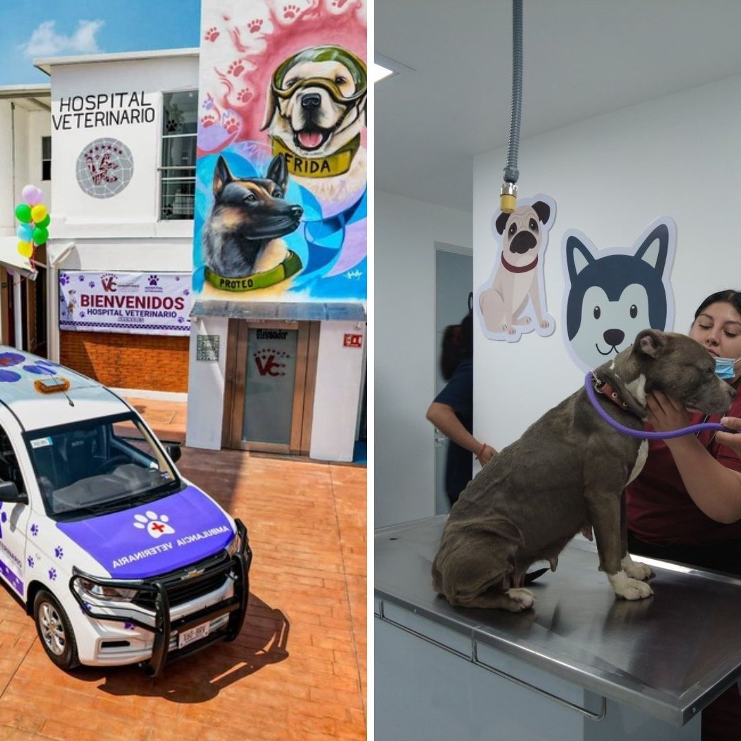 Hospital Veterinario CDMX: Así es la Nueva Clínica con Ambulancia y Atención 24 Horas a Mascotas