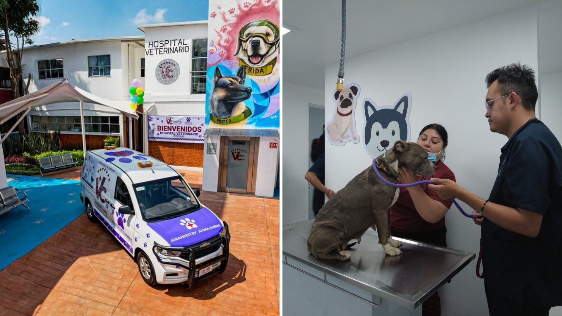 Hospital Veterinario CDMX: Así es la Nueva Clínica con Ambulancia y Atención 24 Horas a Mascotas