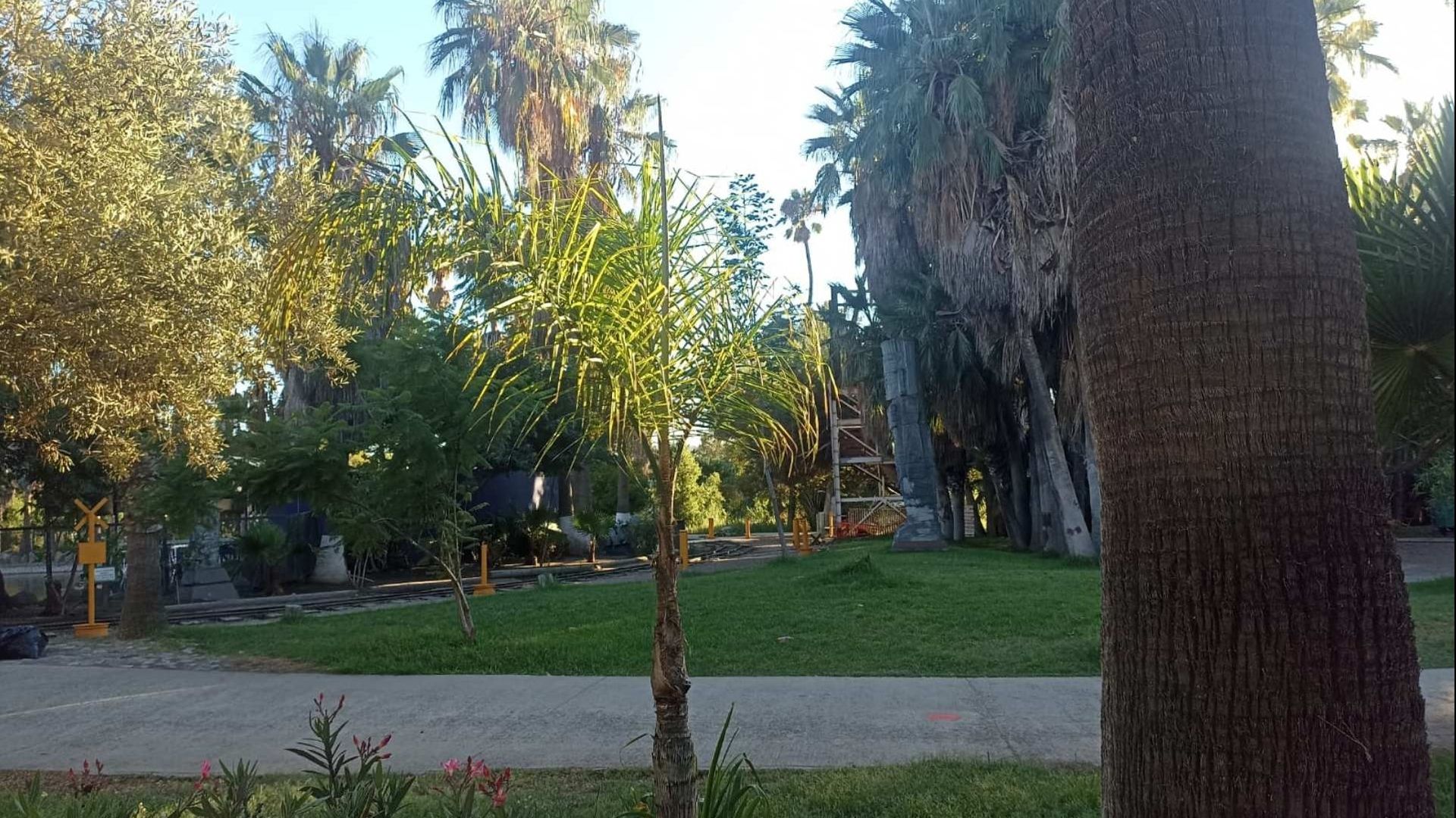 Localizan a Hombre Sin Vida en el Parque Morelos