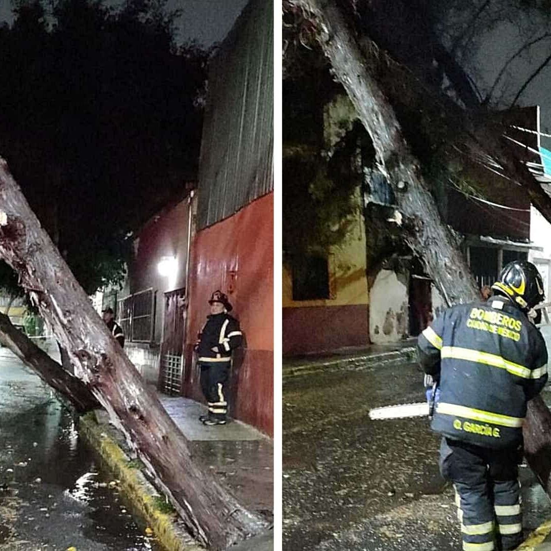 Lluvia Derriba Alrededor de 200 Árboles en Norte de la CDMX