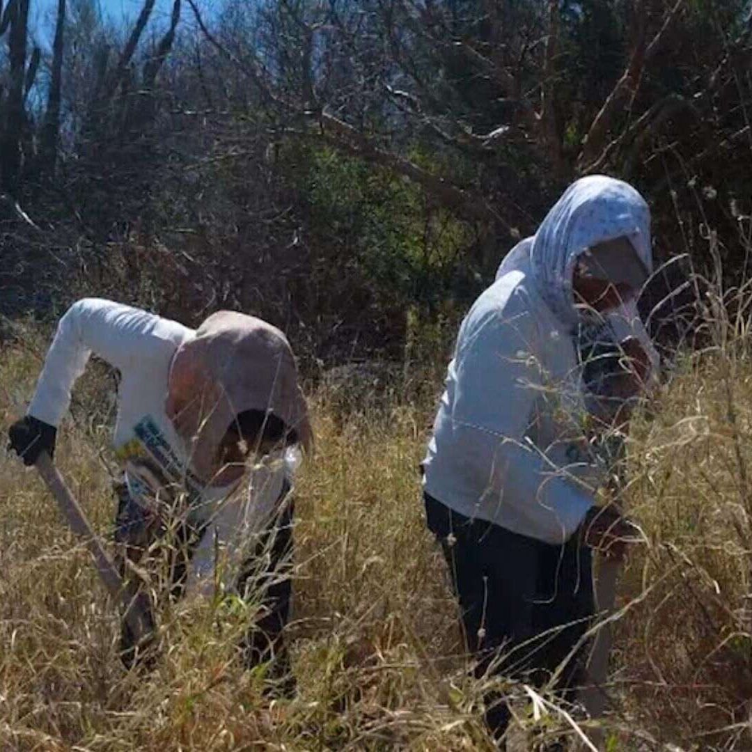 Colectivo Encuentra Restos Óseos y un Cuerpo Calcinado en Mesa del Seri, Sonora