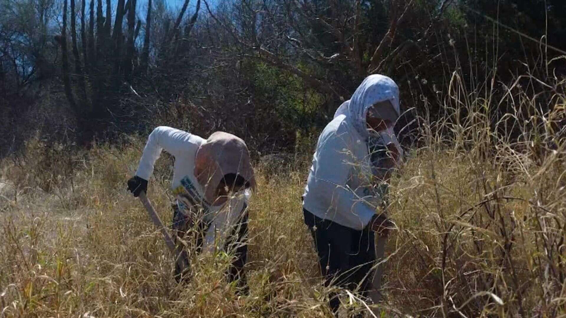 Colectivo Encuentra Restos Óseos y un Cuerpo Calcinado en Mesa del Seri, Sonora