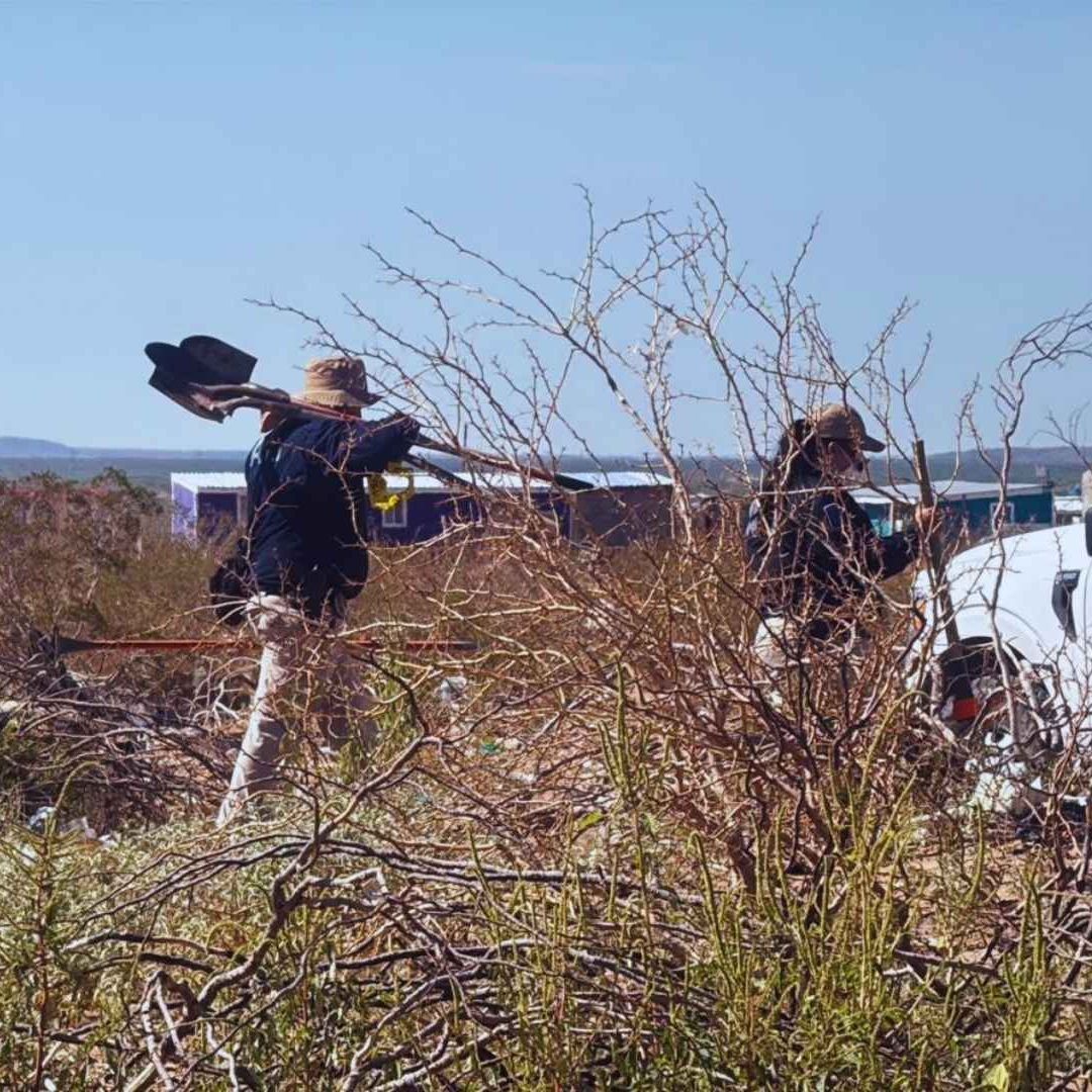 Localizan cuerpo Momificado en Terreno Baldío de Ciudad Juárez | Foto: N+