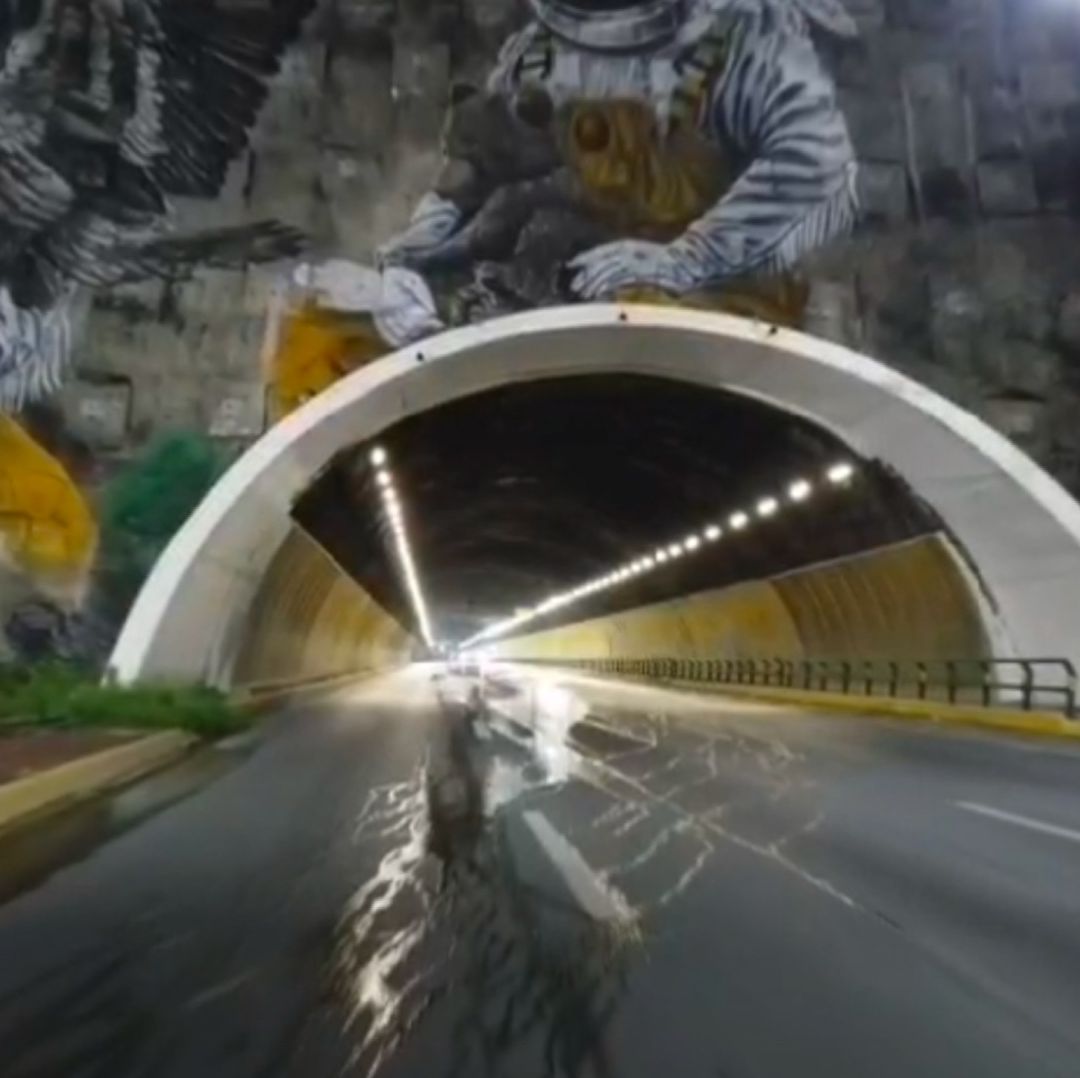 Hay una parte colapsada que ya tiene tiempo dañada, además de grietas en varios puntos del túnel