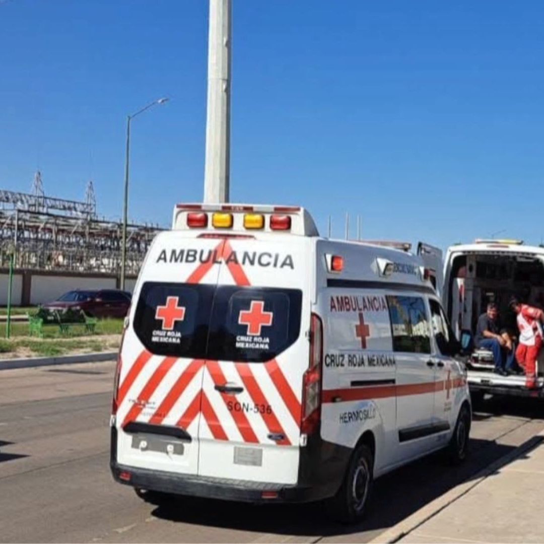 Enjambre de Abejas Ataca a Personas en Fraccionamiento La Encantada, en Hermosillo