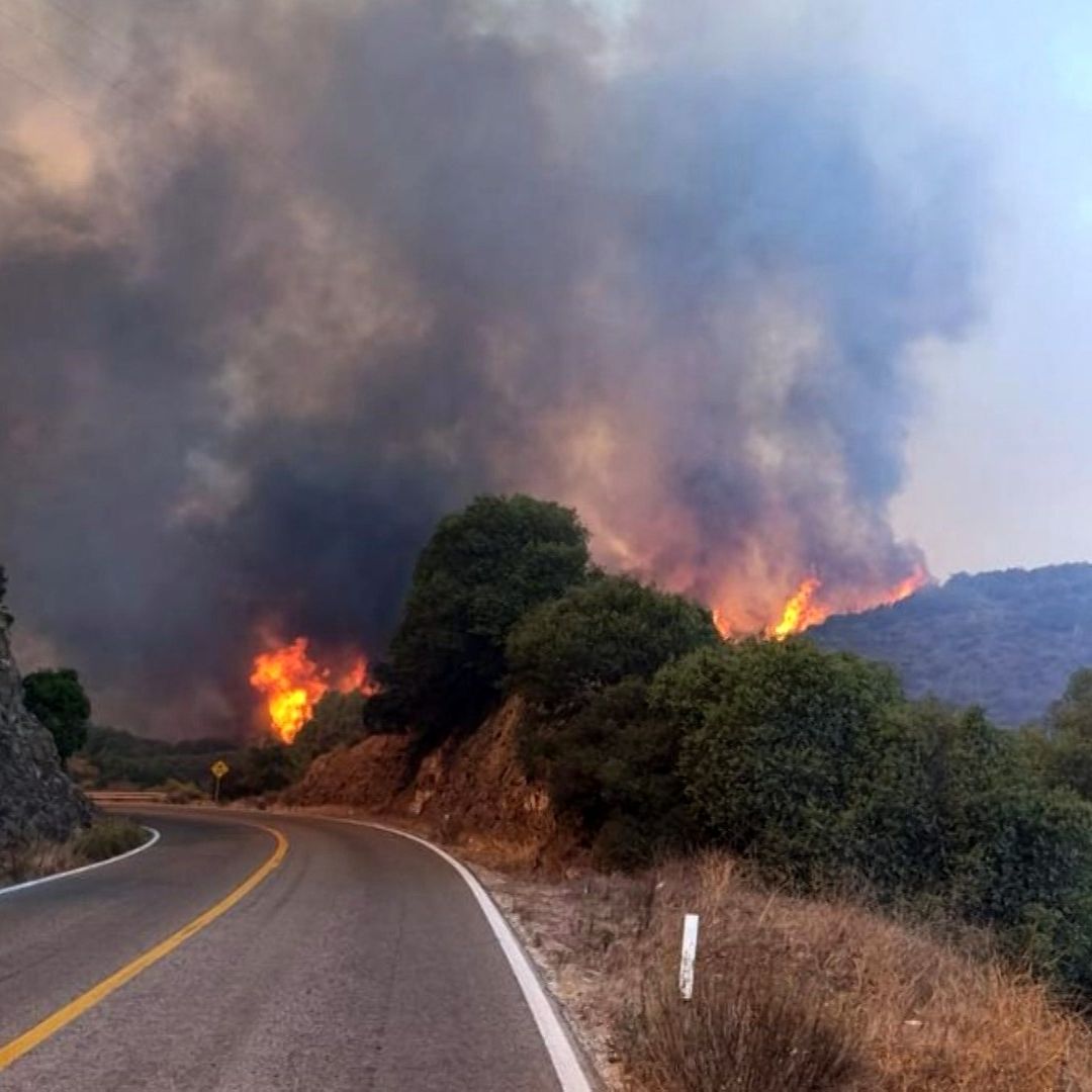 Continúan Trabajos de Combate en Incendio Forestal en Ensenada