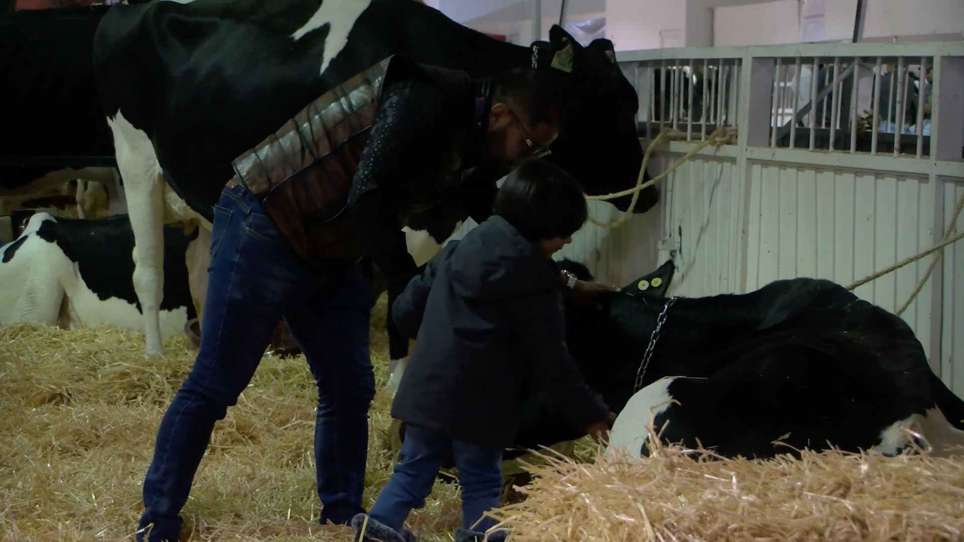 Nueva Fecha de la Feria Ganadera 2025 en Querétaro