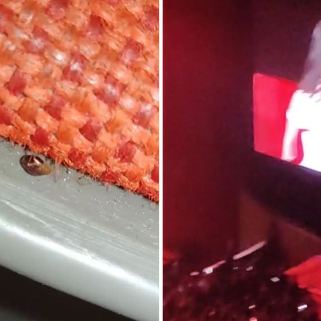 Captan chinches en asientos del Auditorio Nacional