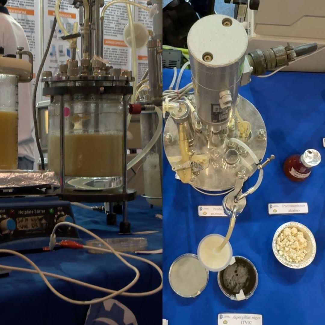 Estudiantes de Veracruz Crean Combustible Usando Desechos Orgánicos Caña Tecnológico