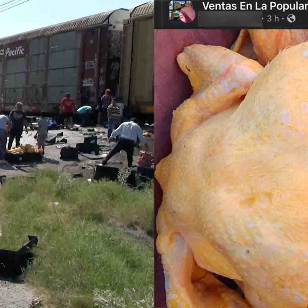 Robando Pollos Pollos Robados Durante Rapiña Son Vendidos en Facebook en 50 Pesos
