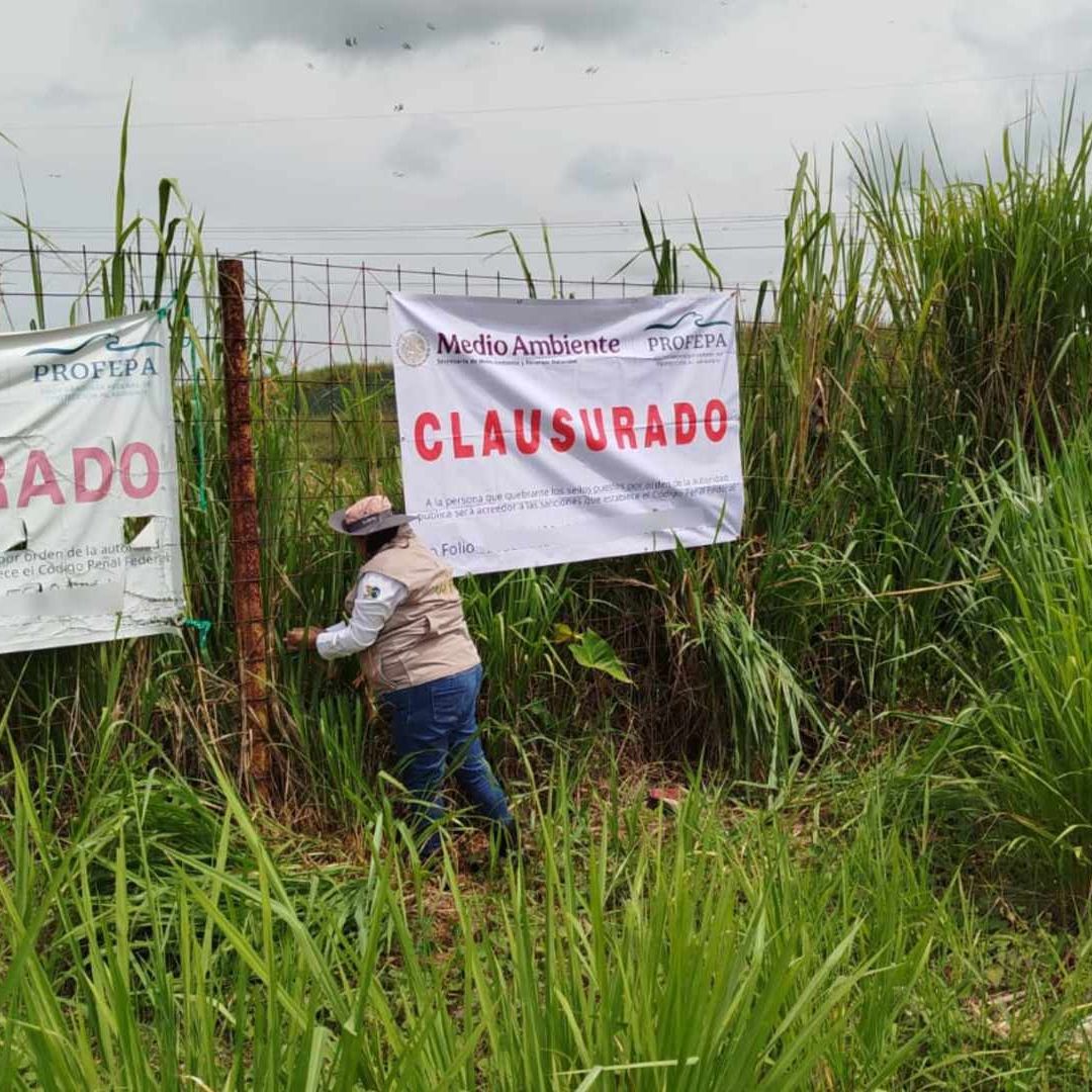 PROFEPA Clausura Relleno Sanitario Basurero Las Matas Minatitlán Veracruz Multa 18 Millones de Pesos