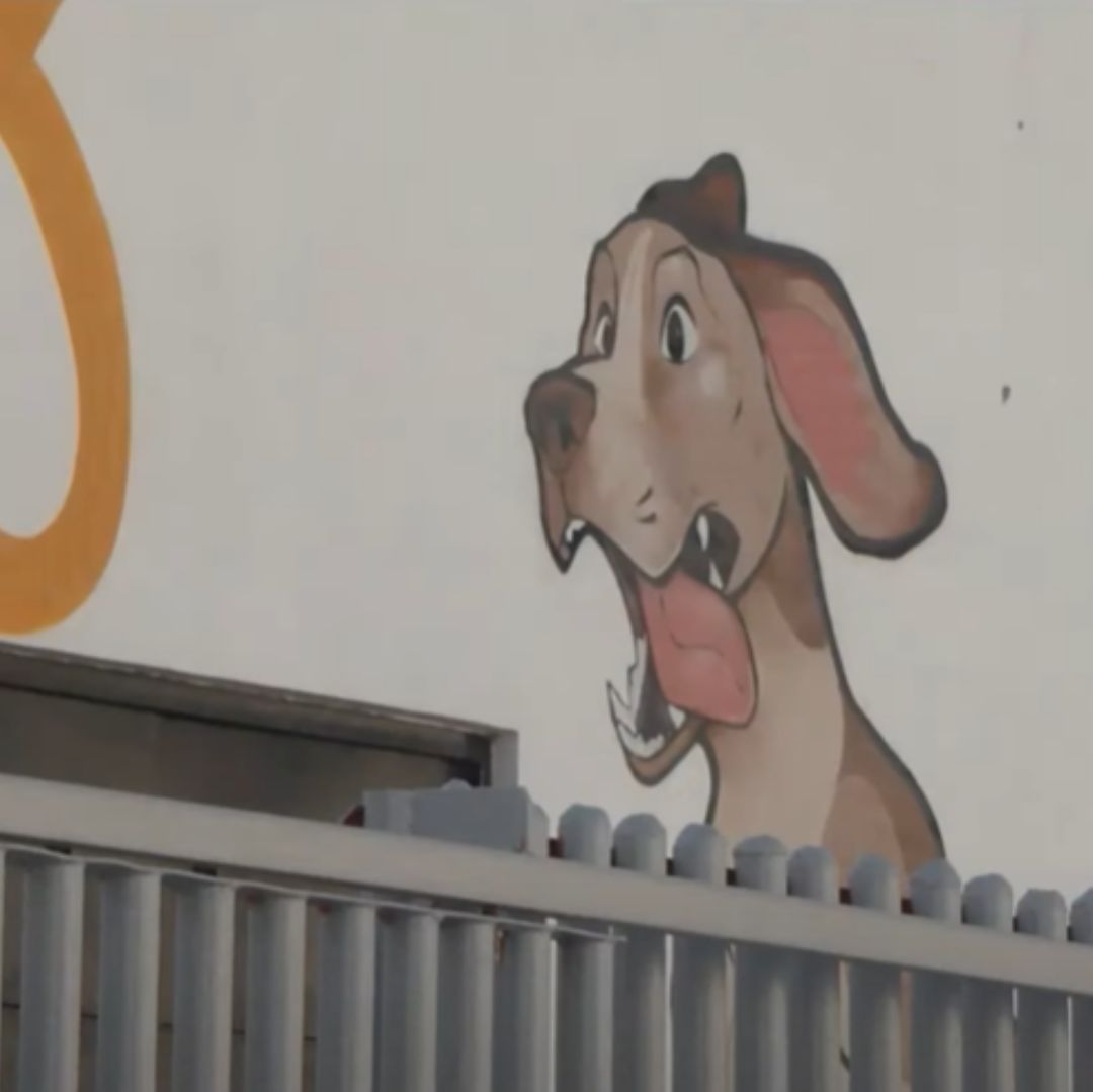 Denuncia presunta muerte de perros en Santa Catarina