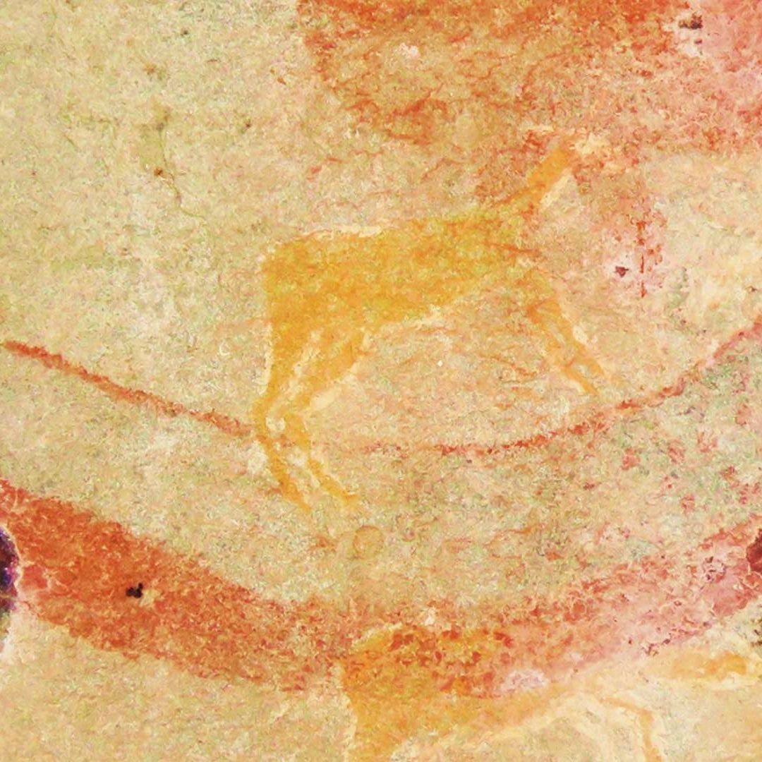 Pintura rupestre estaría inspirada en fósil de 200 millones de años