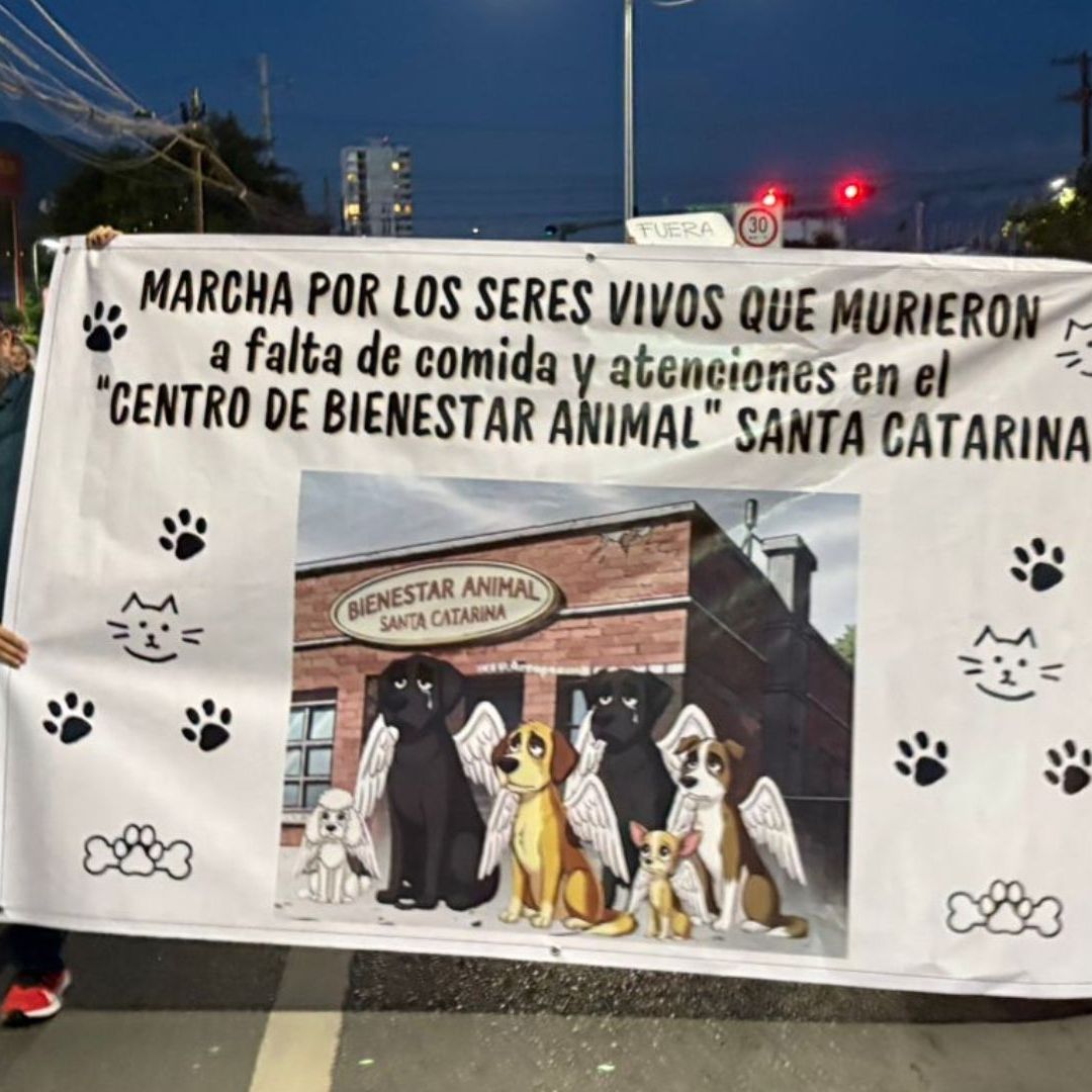 Protestan por presunto maltrato animal en Santa Catarina