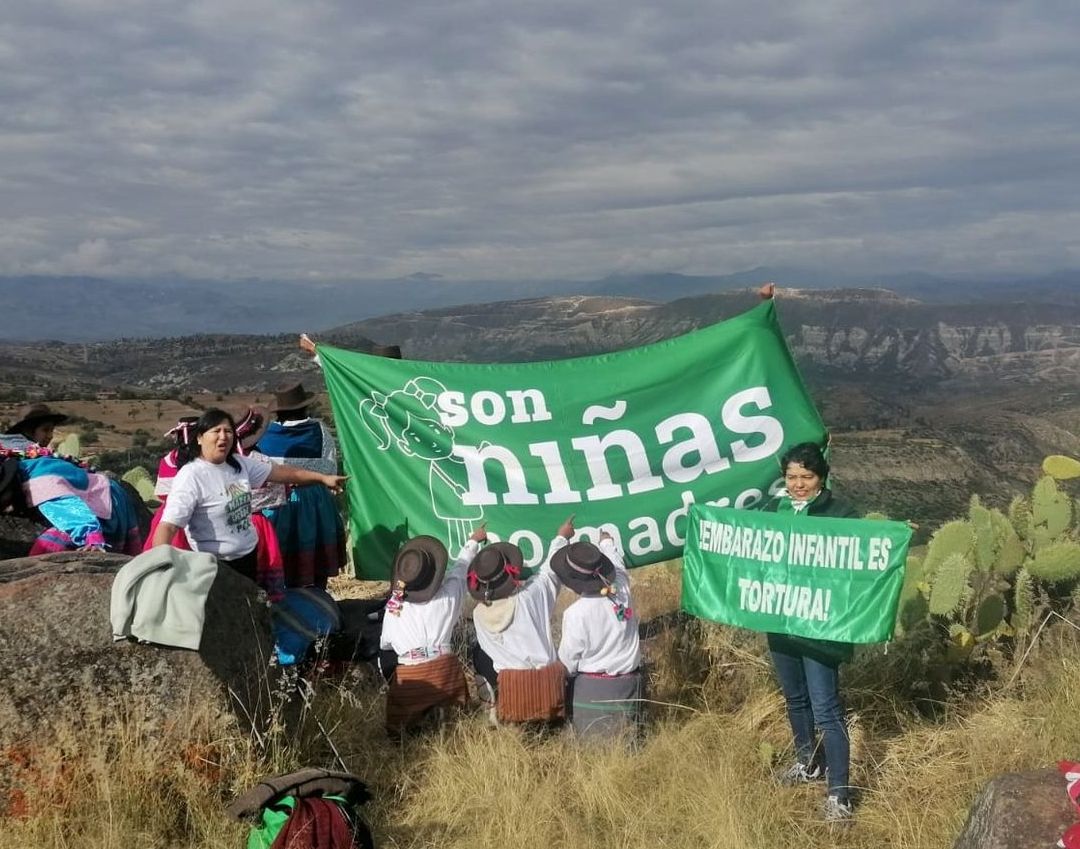 Organizaciones impulsan un movimiento regional para visibilizar la violencia sexual y maternidades forzadas en niñas