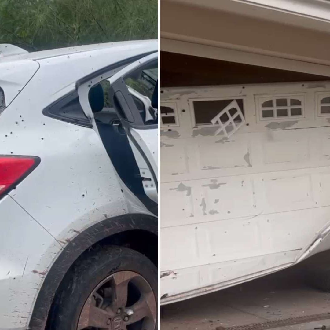 Operativo en Culiacancito, Sinaloa Deja un Abatido y Ocho Detenidos