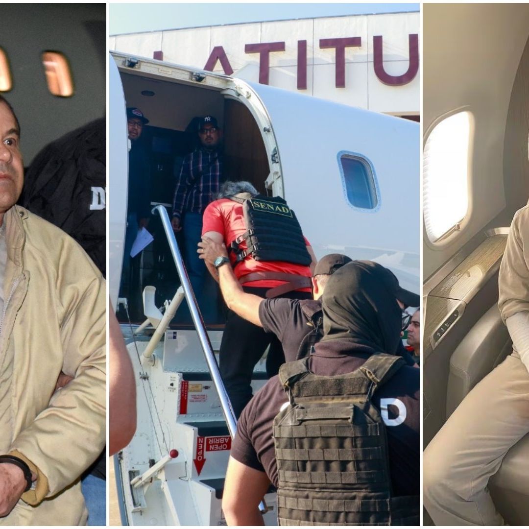 De 'El Chapo' a Ovidio: los Pasajeros que Han Viajado en Avión Que Lleva a Hernán "N" a México