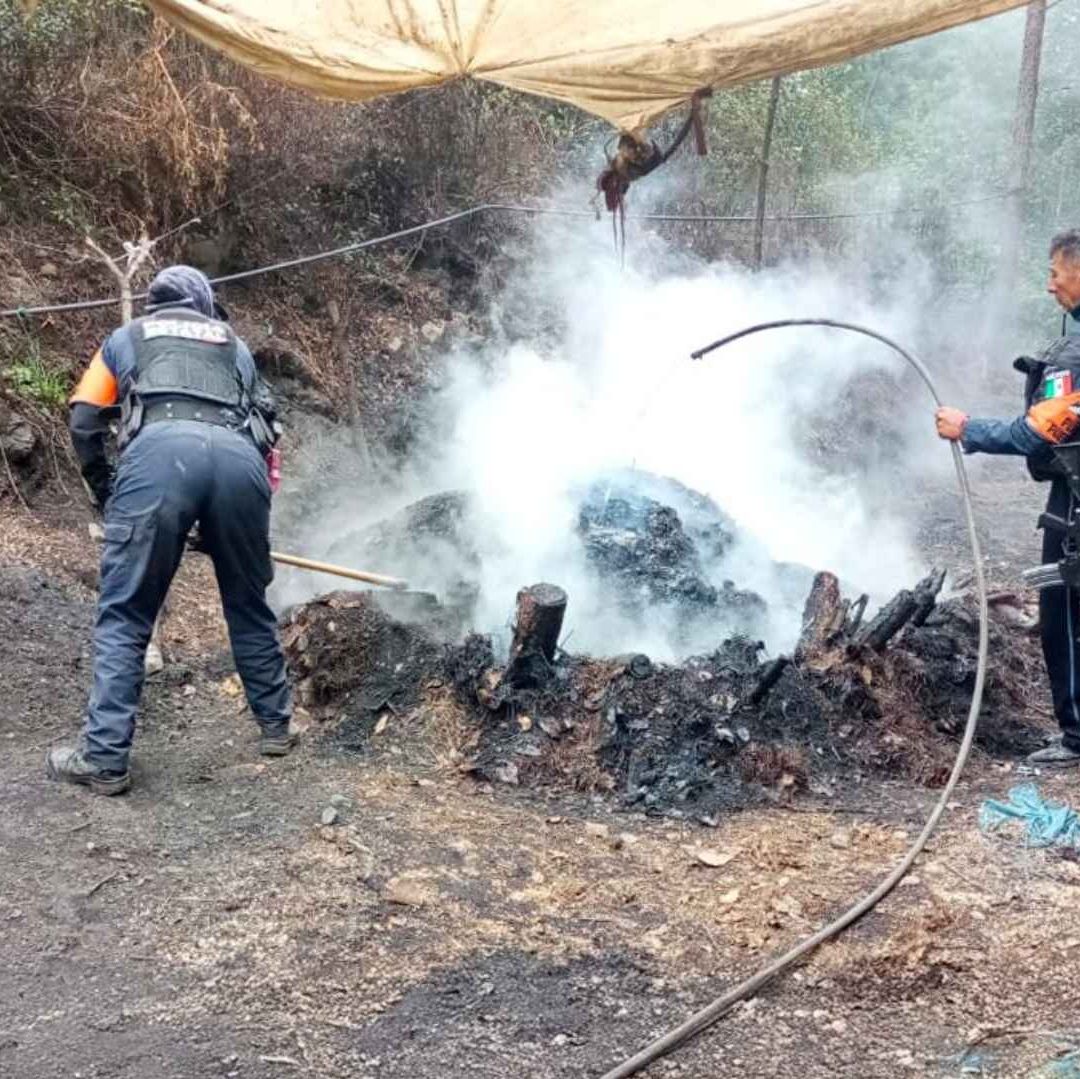 Nueve Hornos Inhabilitados en Zautla Puebla Utilizados para Deshidratación Ilegal de Madera