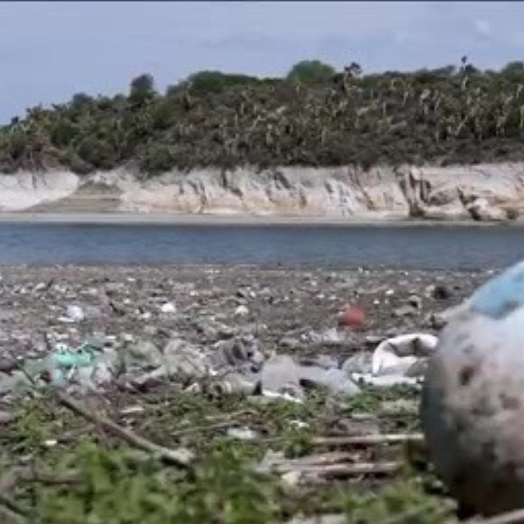 Declaran Zona de Restauración Ecológica la Presa Endhó y Alrededores