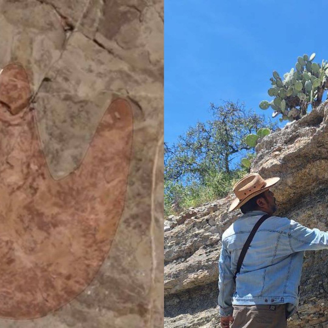 INAH Investiga Posible Hallazgo de Huellas de Dinosaurios en Valle de Tehuacán Puebla