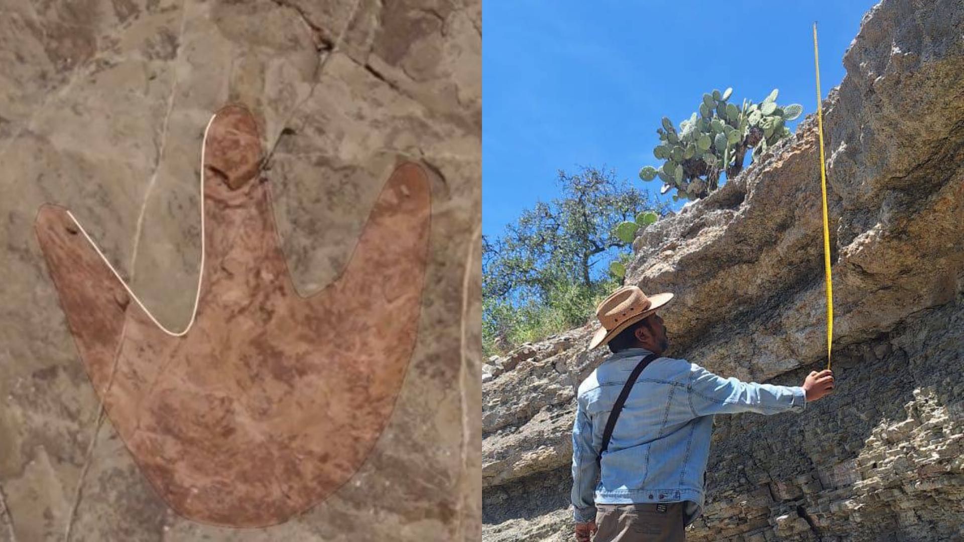 INAH Investiga Posible Hallazgo de Huellas de Dinosaurios en Valle de Tehuacán Puebla