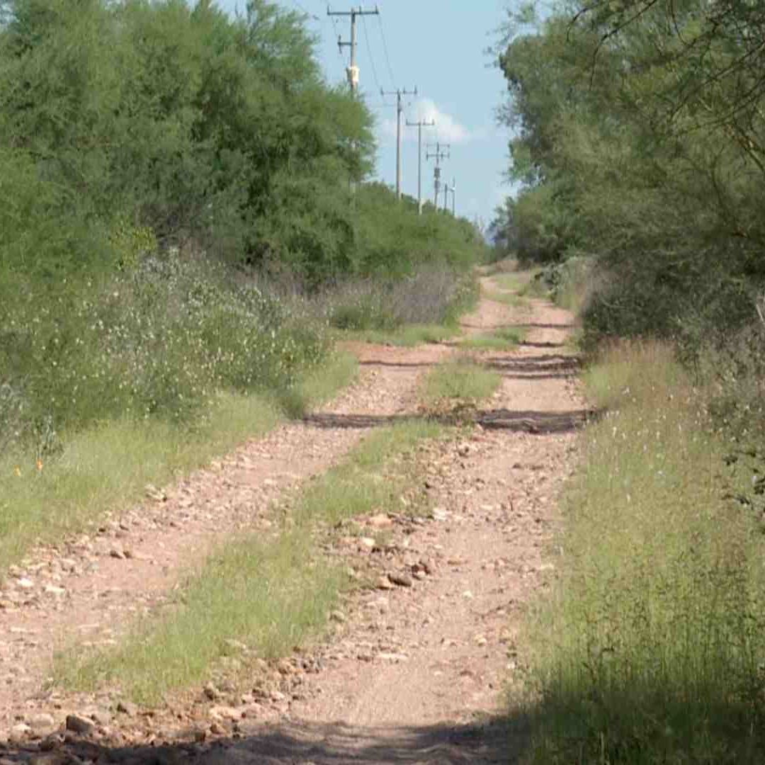 Encuentran Cuerpo Calcinado Dentro de Vehículo Incendiado en Real del Alamito en Hermosillo