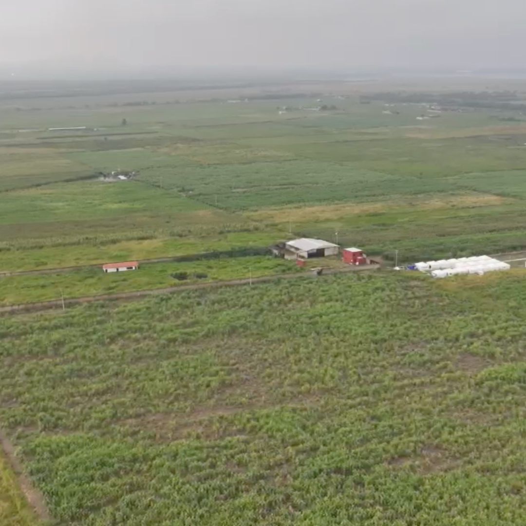 Ha transcurrido un año desde el descubrimiento del Rancho Izaguirre.