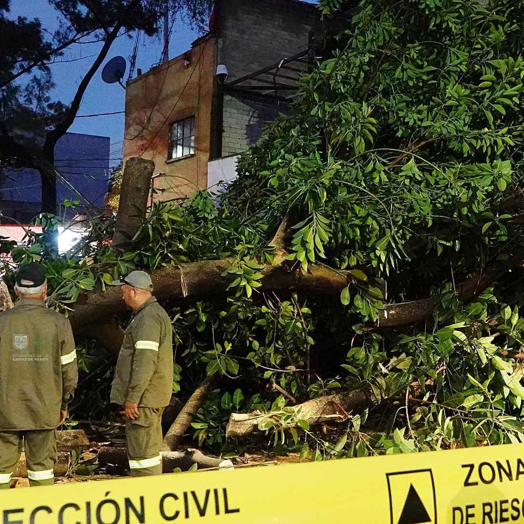 Vientos Fuertes en CDMX: Activan Alerta Amarilla por Peligro en Todas las Alcaldías