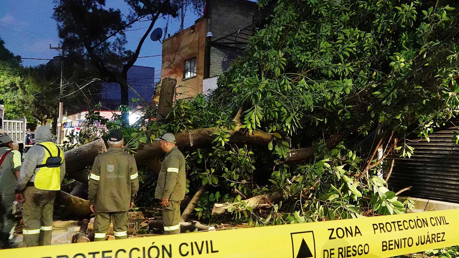 Vientos Fuertes en CDMX: Activan Alerta Amarilla por Peligro en Todas ...