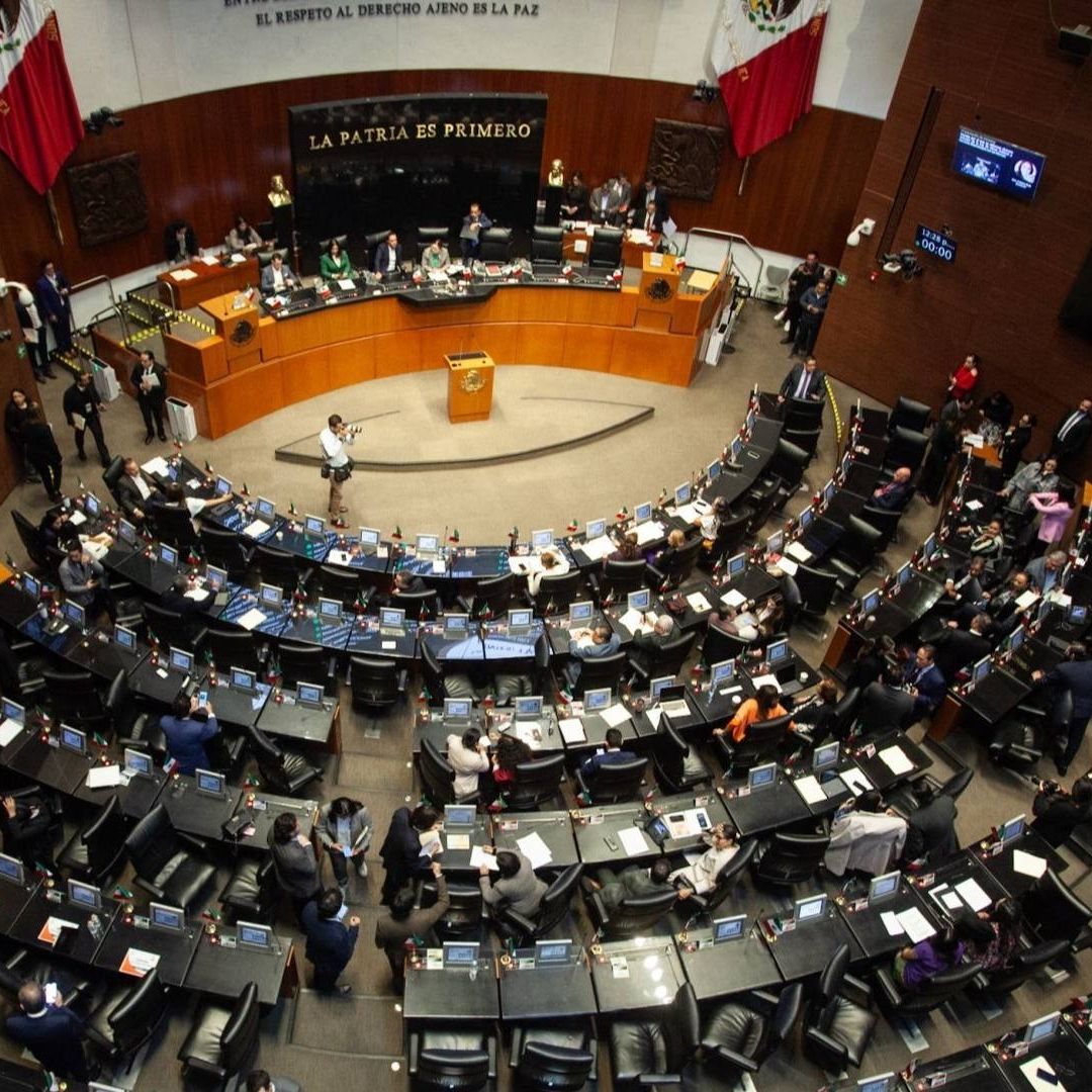 Sesión en la Cámara de Senadores, 3 de octubre de 2024