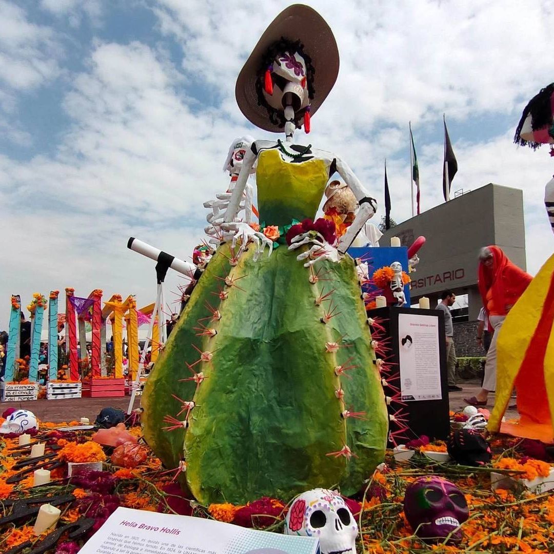 La megaofrenda UNAM se ha convertido en uno de los eventos más esperados del Día de Muertos