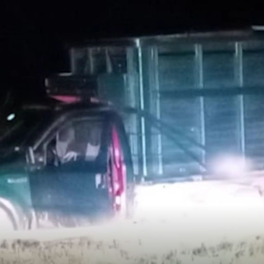 Esto es lo Que se Sabe del Enfrentamiento Contra Migrantes en Chiapas