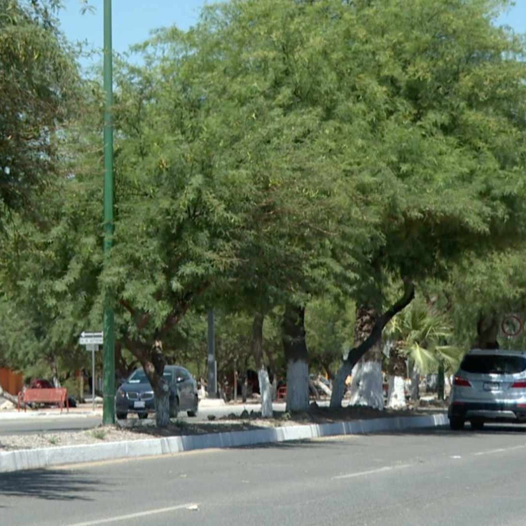 Hombre Resulta Herido con Arma Blanca por un Adulto Mayor en Poblado Miguel Alemán, Hermosillo