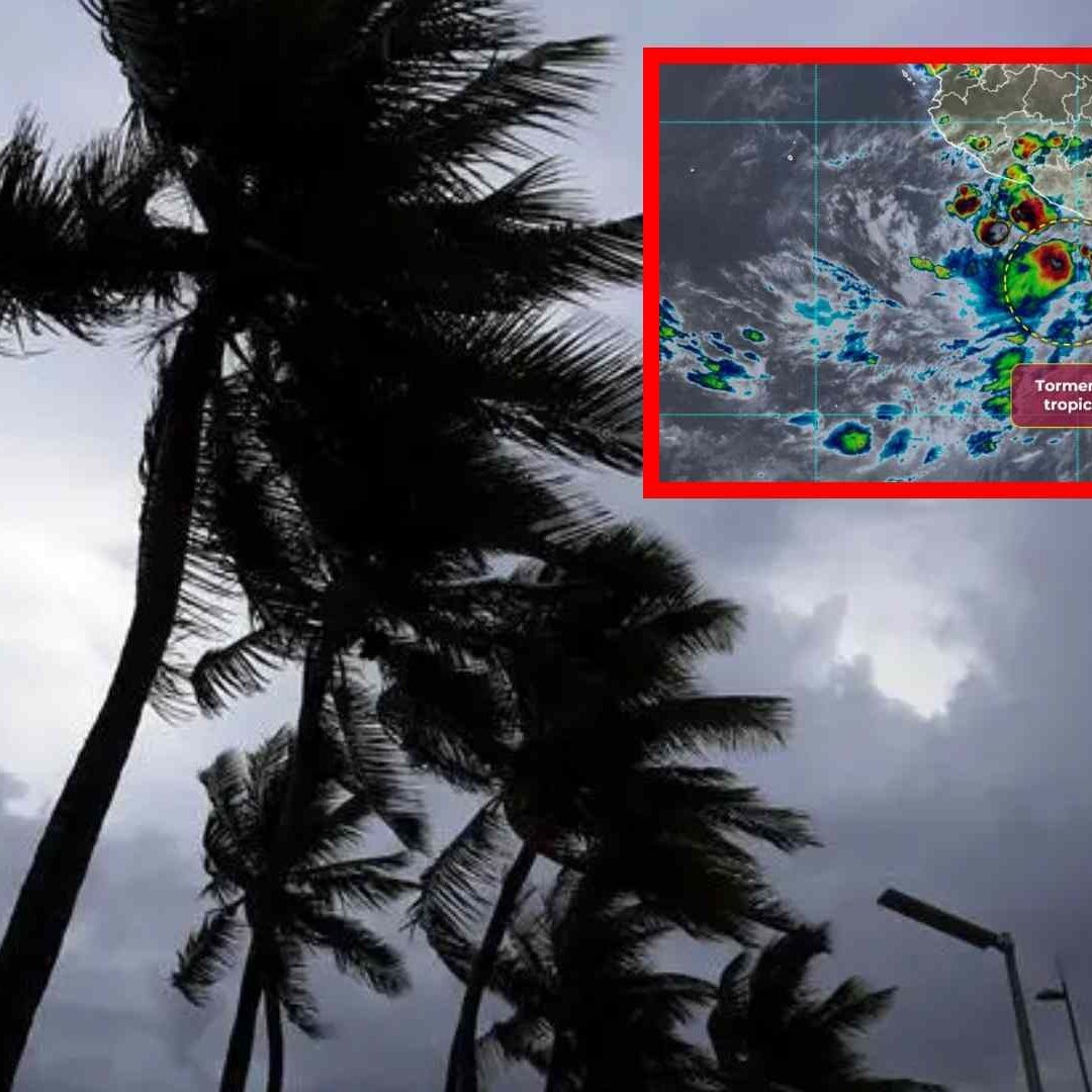 Tormenta Tropical Narda. Foto: EFE/Conagua