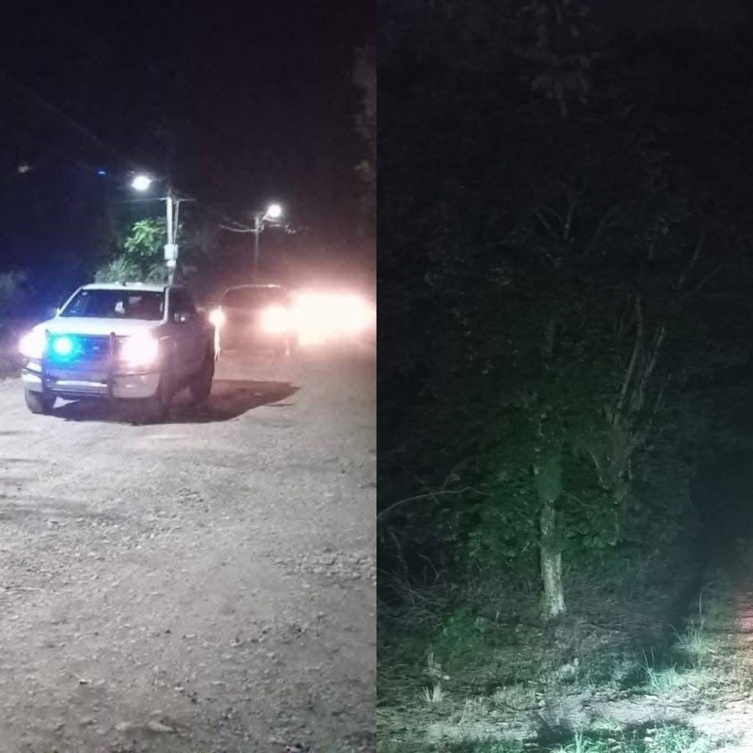 Hallan Restos Humanos Campos Cultivos Caña de Azúcar Paraje Nuevo Río Seco Amatlán Veracruz