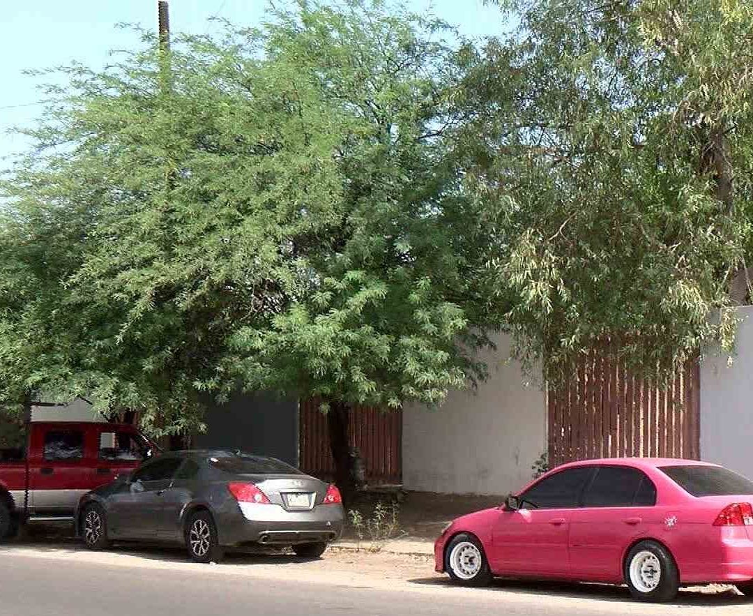 Alumnos del Conalep son Detenidos por Drogarse Fuera del Plantel en Hermosillo