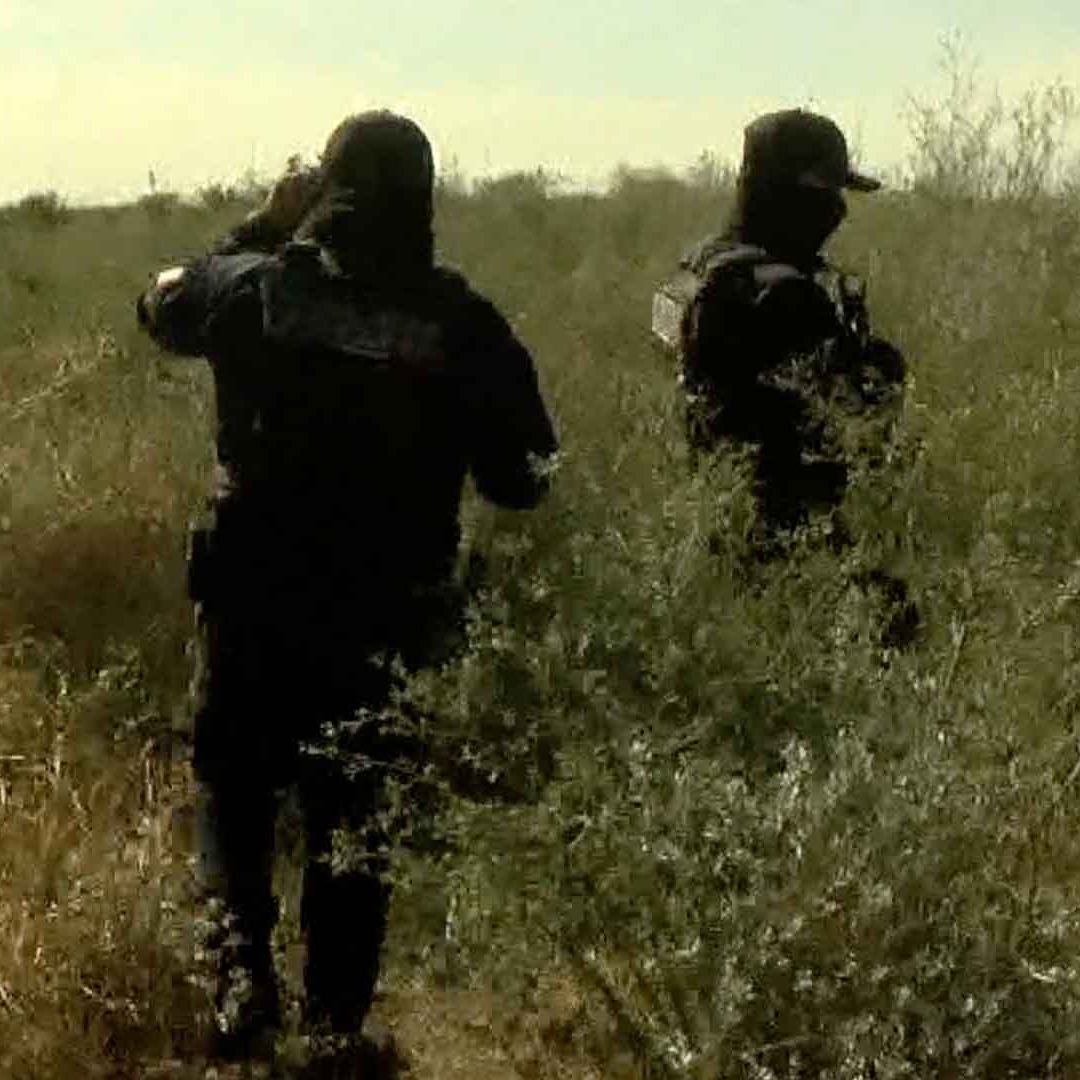 Colectivo Buscando Tus Pasos Localiza Restos Óseos de 14 Personas Desaparecidas Reynosa