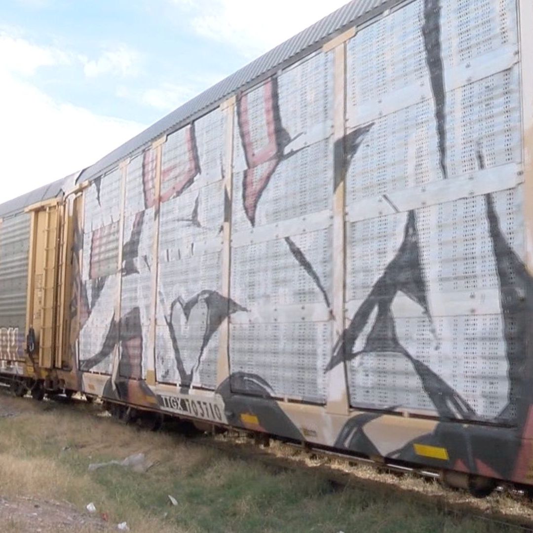 Tren Arrolla a Hombre en Santa Ana, Sonora; Esto Pasó