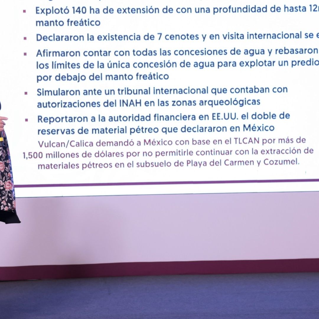 Alicia Bárcena expone declaraciones falsas de Calica