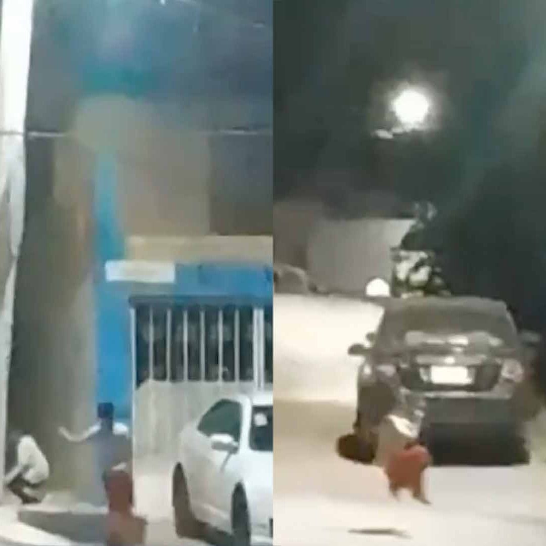 Video: Niños Juegan con Cables de Alta Tensión en Saltillo Coahuila