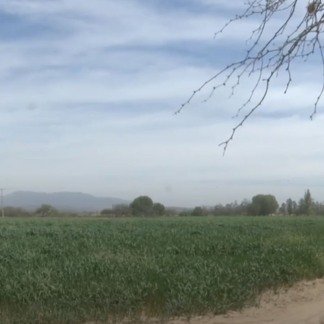 campo agricola en San Luis Potosí